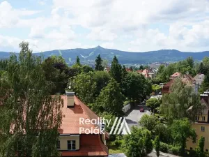 Pronájem bytu 3+1, Liberec, Březová alej, 83 m2