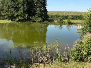 Prodej chalupy, Ratboř, 161 m2