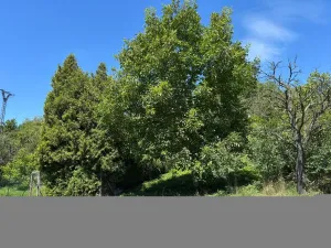 Prodej zahrady, Zlín - Prštné, 516 m2