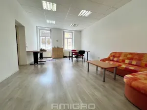 Pronájem bytu 2+1, Brno, Pekařská, 75 m2