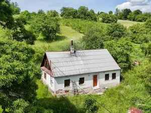 Prodej chalupy, Dlouhá Loučka, 80 m2