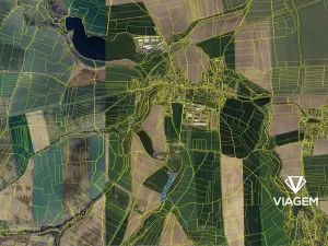 Prodej podílu lesa, Bečváry, 1312 m2