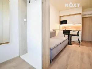 Pronájem bytu 1+kk, Břeclav, Břetislavova, 18 m2