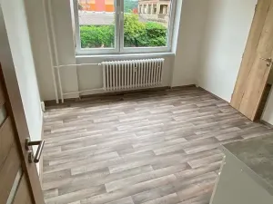 Pronájem bytu 1+1, Brno, Palackého třída, 50 m2