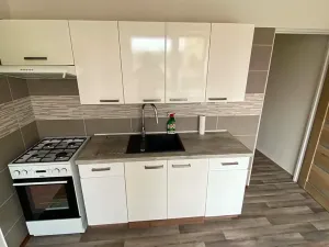 Pronájem bytu 1+1, Brno, Palackého třída, 50 m2