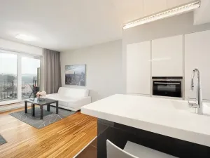 Pronájem bytu 2+kk, Brno, Palackého třída, 56 m2