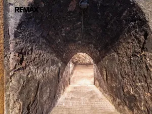 Prodej vinného sklepa, Brod nad Dyjí, 70 m2