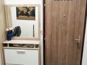 Pronájem bytu 2+kk, Ostrava, Lumírova, 53 m2