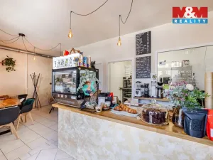Prodej rodinného domu, Mělník, Kněžny Emmy, 330 m2
