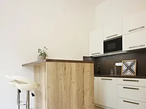 Pronájem bytu 1+kk, Brno, Koliště, 32 m2