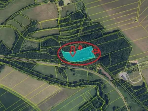 Prodej sadu/vinice, Bludov, 11057 m2