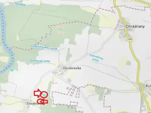Prodej lesa, Chrášťany, 2788 m2