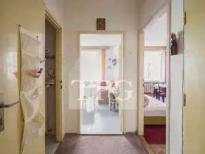 Prodej bytu 1+1, Praha - Žižkov, Baranova, 44 m2