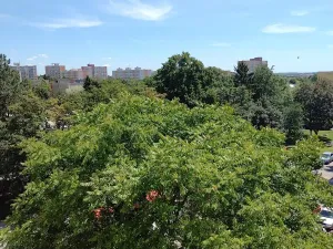 Pronájem bytu 1+kk, Kladno, Dánská, 27 m2