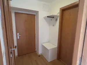 Pronájem bytu 1+1, Teplice, Moskevské náměstí, 30 m2