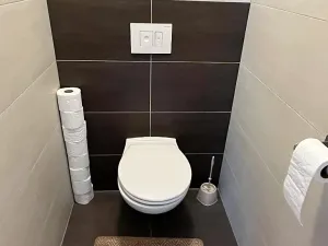 Pronájem bytu 2+kk, Brno, Bělohorská, 70 m2