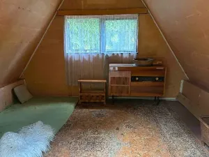 Prodej - jiné, Olšany, 40 m2