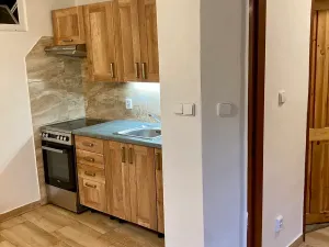 Pronájem bytu 1+1, Praha - Košíře, Vrchlického, 30 m2