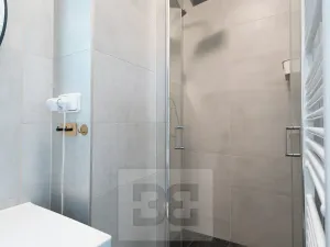 Pronájem bytu 1+1, Praha - Žižkov, Prokopova, 33 m2