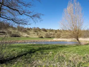 Prodej rodinného domu, Rašovice, 105 m2