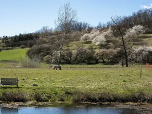 Prodej rodinného domu, Rašovice, 105 m2