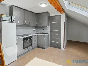 Prodej atypického bytu, Praha - Libeň, Pod Labuťkou, 62 m2