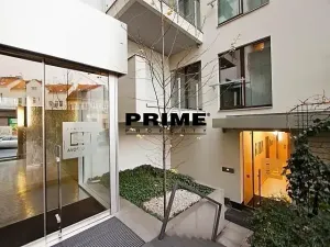 Pronájem bytu 3+kk, Praha - Žižkov, Prokopova, 154 m2