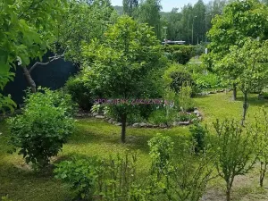 Pronájem bytu 1+kk, Česká Lípa, 40 m2