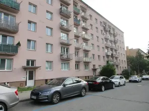 Pronájem bytu 2+1, Brno, Svatopluka Čecha, 53 m2