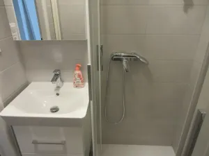 Pronájem bytu 2+1, Brno, Svatopluka Čecha, 53 m2
