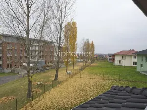 Pronájem vily, Průhonice, Pod Valem II., 350 m2