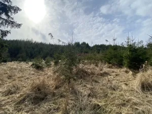 Prodej louky, Městečko Trnávka - Lázy, 1026 m2
