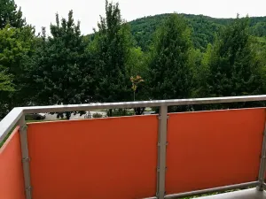 Pronájem bytu 1+1, Brno, Laštůvkova, 30 m2