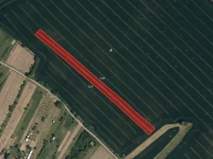 Prodej pole, Boršice, 2636 m2