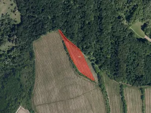 Prodej sadu/vinice, Kobylí, 33801 m2