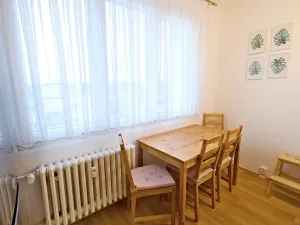 Pronájem bytu 2+1, Domažlice, Mánesova, 58 m2