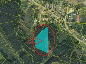 Prodej podílu lesa, Nosálov, 9083 m2