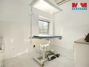 Prodej obchodního prostoru, Lázně Bohdaneč, Škroupova, 202 m2