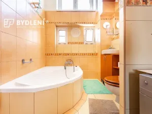 Pronájem bytu 3+kk, Ústí nad Labem, Elišky Krásnohorské, 74 m2