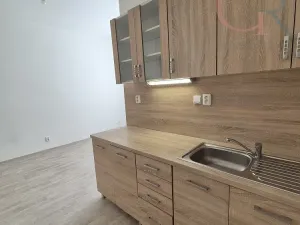 Pronájem bytu 2+kk, Plzeň - Vnitřní Město, Veleslavínova, 50 m2