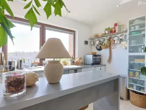 Prodej bytu 1+kk, Brno, Řípská, 47 m2
