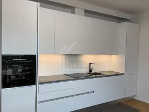 Pronájem bytu 3+kk, Praha - Vinohrady, Třebízského, 124 m2