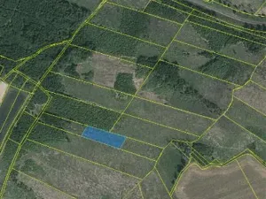 Prodej lesa, Dolní Hořice, 3496 m2