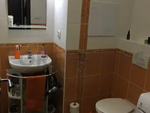 Pronájem bytu 2+kk, Pardubice, 53 m2