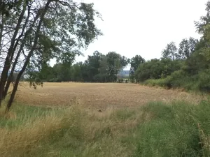 Dražba zahrady, Heřmanova Huť, 1100 m2