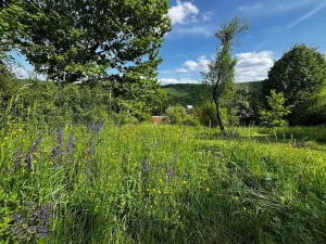 Prodej pozemku pro bydlení, Luhačovice, 1248 m2