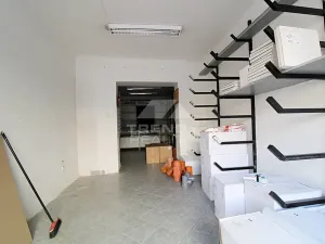 Prodej činžovního domu, Plzeň, Pod Všemi svatými, 450 m2