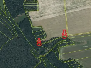 Prodej lesa, Puclice, 13840 m2