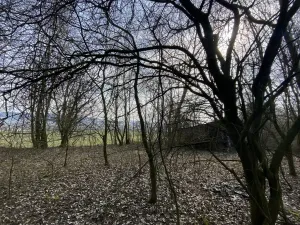 Prodej louky, Městečko Trnávka - Lázy, 1158 m2