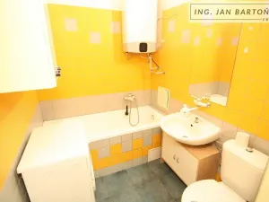 Pronájem bytu 1+kk, Jihlava, Palackého, 35 m2
